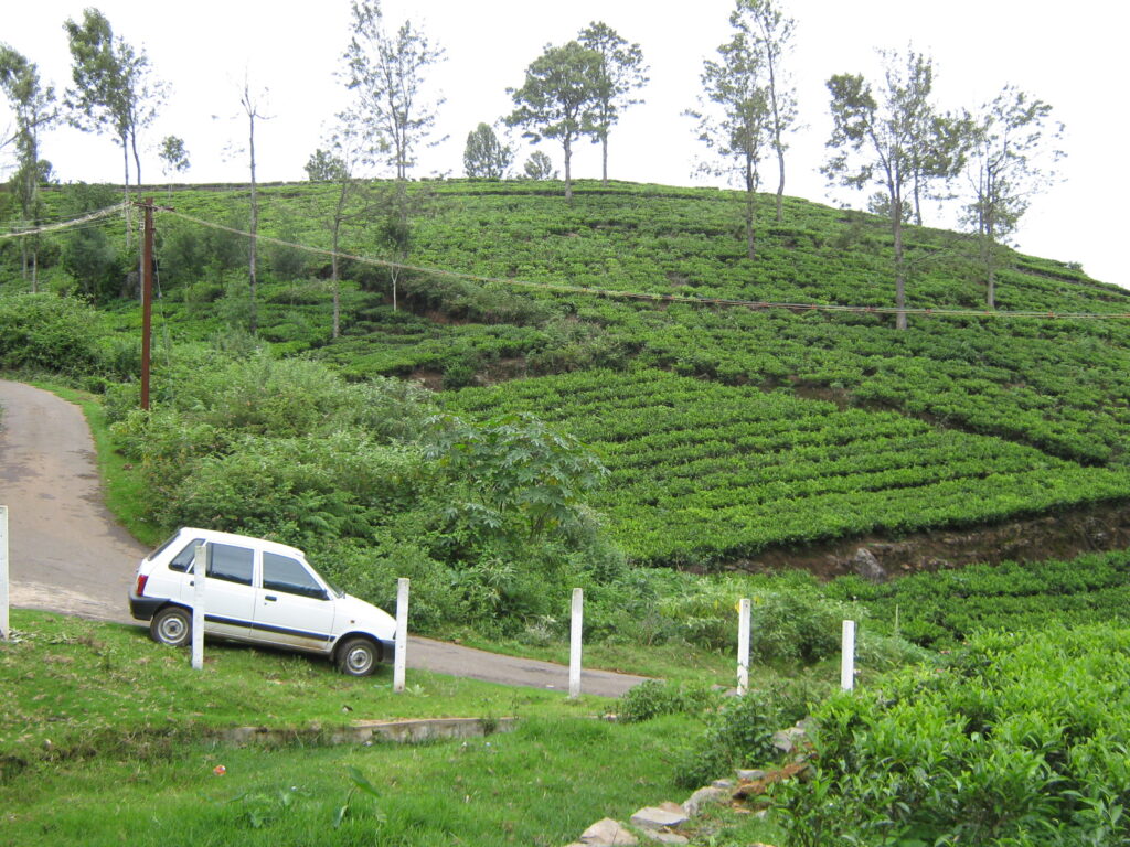 ooty local sightseeing